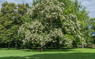 Pfühlpark Heilbronn
